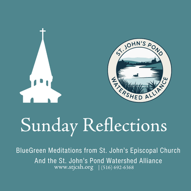 Sunday Reflections: BlueGreen Meditations from St. John's, Cold Spring Harbor